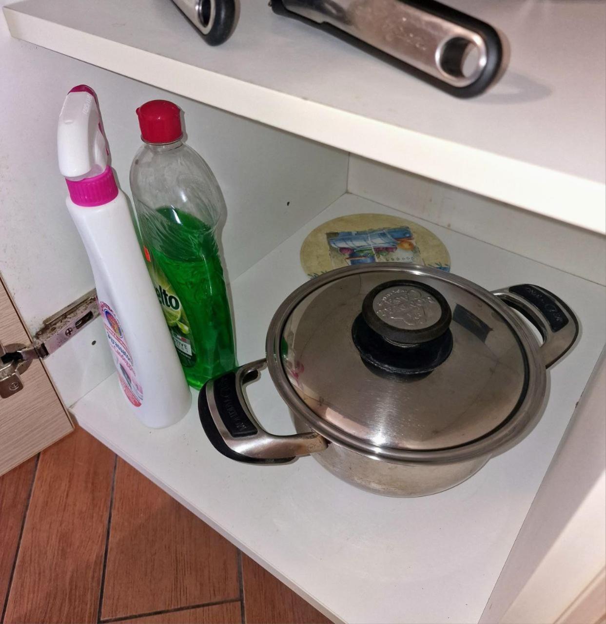 Domus Livio, 7 Min Fco Airport, Free Wifi, Garden Apartment, 2 Tv Hd Fiumicino Esterno foto